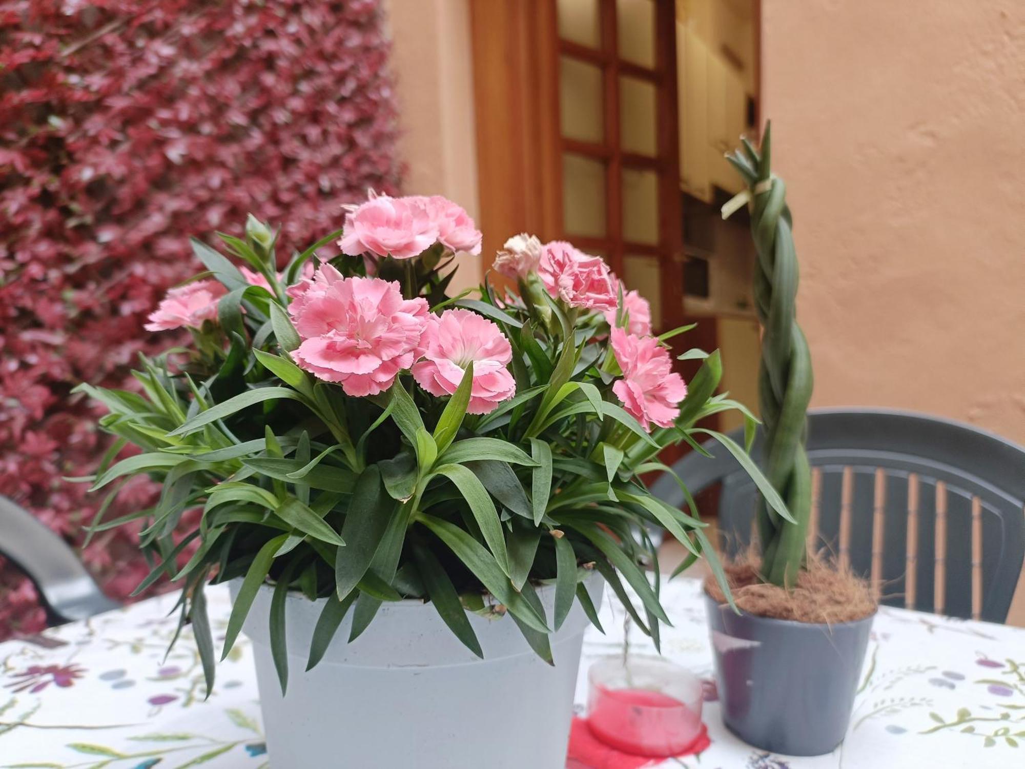 Il Giardino Segreto Apartment Lucca Exterior photo